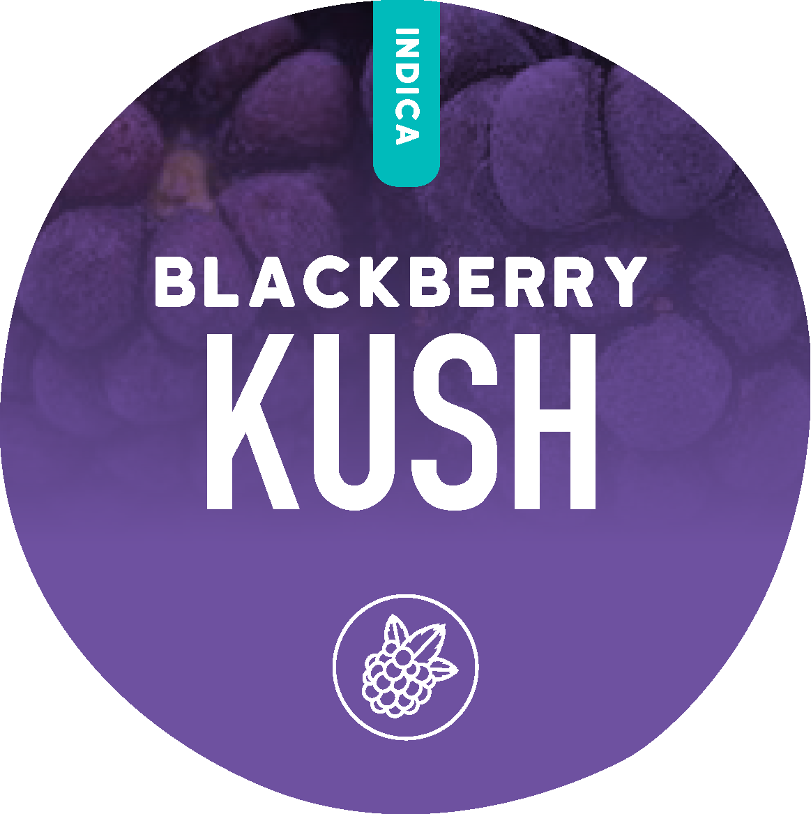 Blackberry Kush