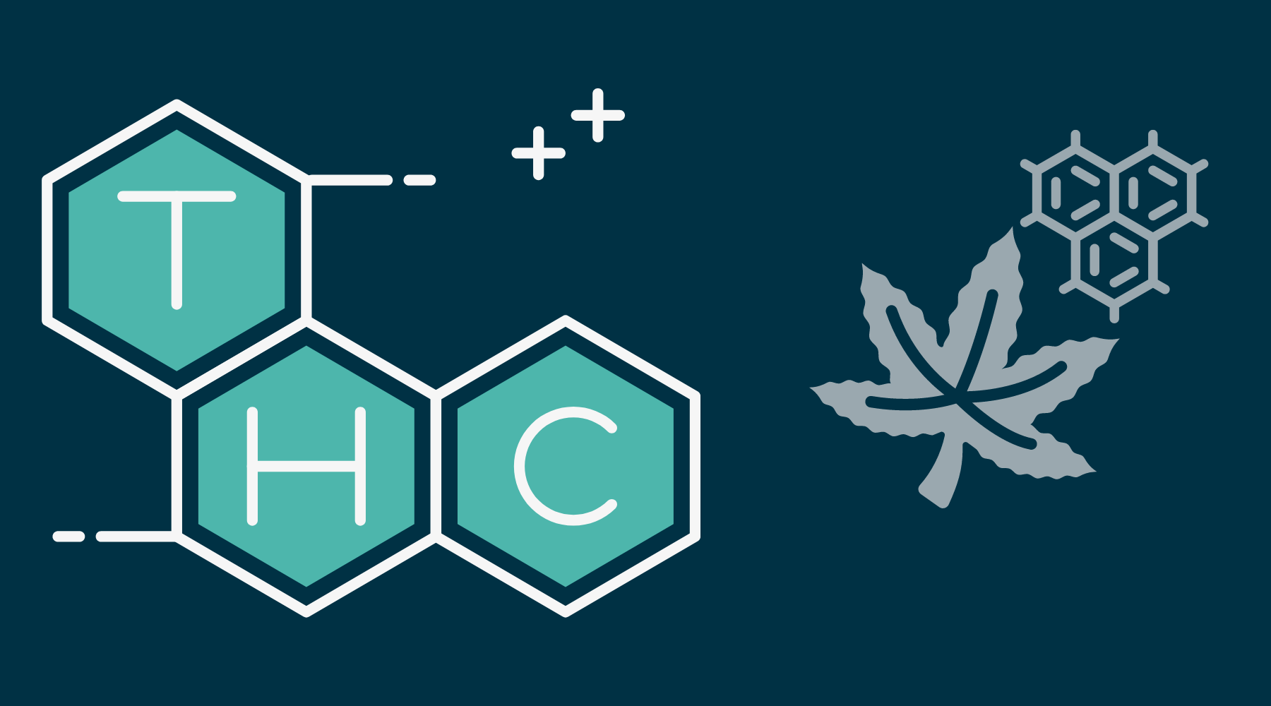 How Well Does THCA Get Along with Delta 8, Delta 10, THCV, and THCP?