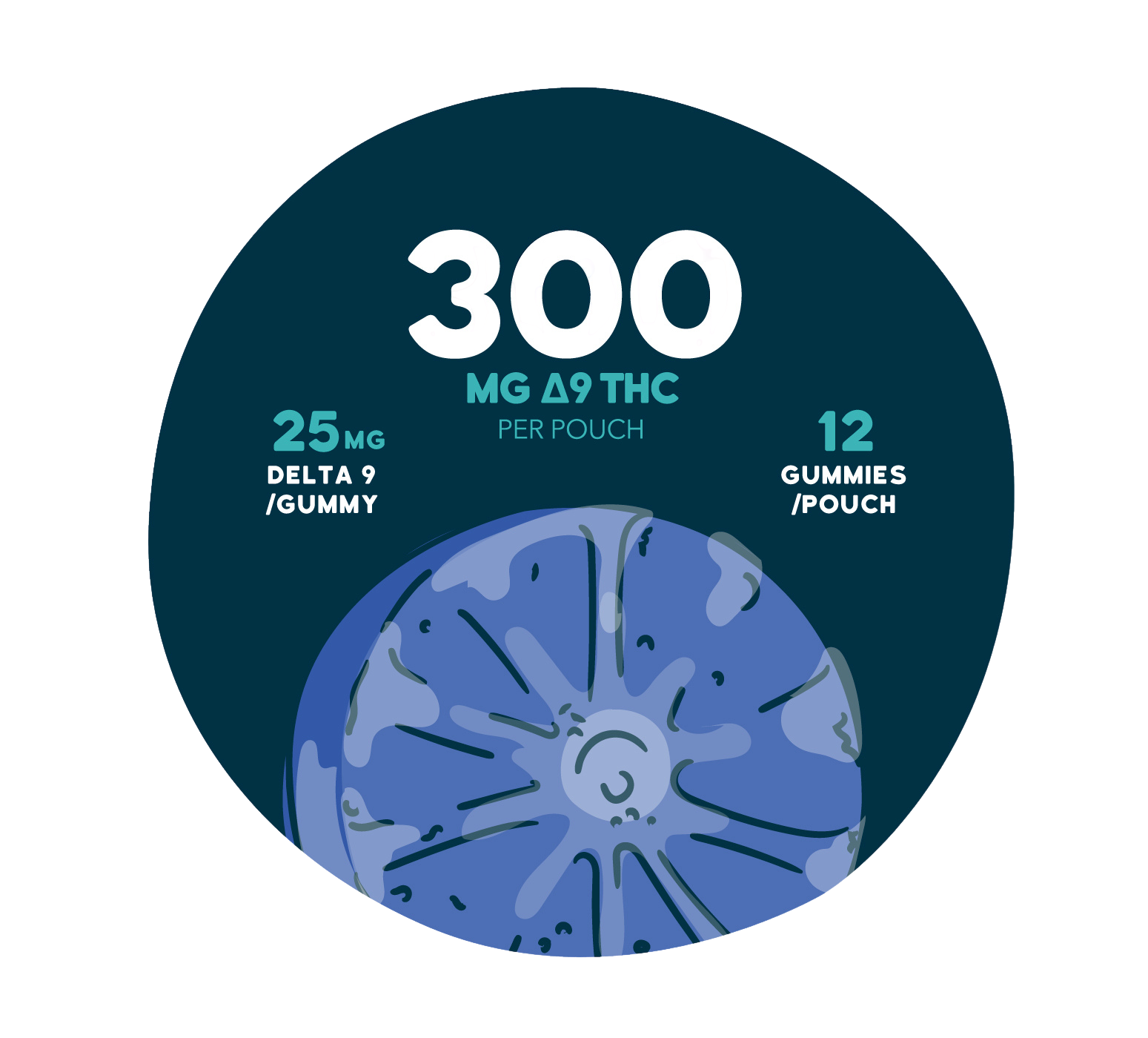 Graphic showing a close-up blue, fruit slice-style gummy on a dark teal background with text reading “300 MG Δ9 THC per pouch,” “25 MG Delta 9 / gummy,” and “12 gummies / pouch.”